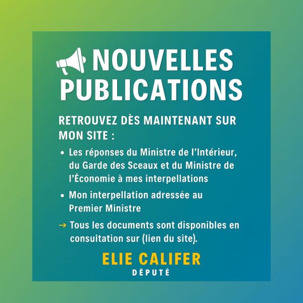 Réponse des ministres au député élie califer