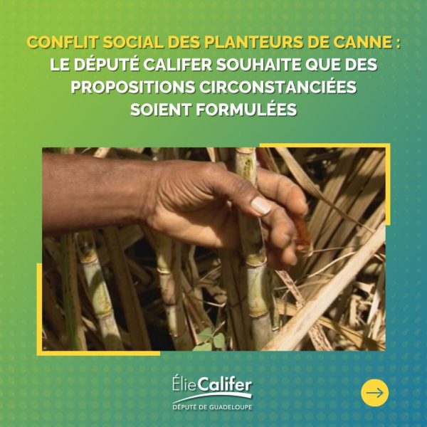 Conflit social des planteurs de canne : le Député CALIFER souhaite que des propositions circonstanciées soient formulées